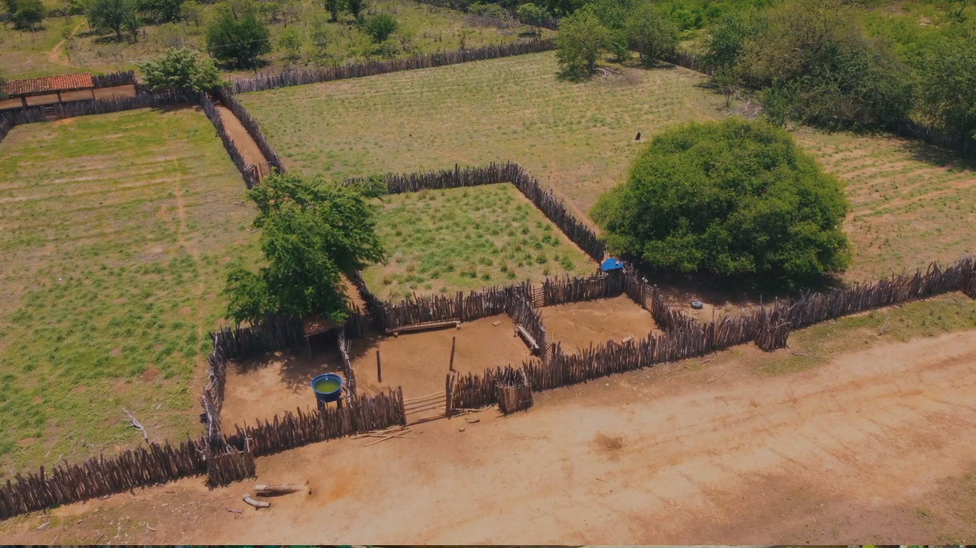 Imagem aérea mostra o Sistema Agroflorestal na comunidade Queimada da Onça, no Quilombo Lagoas, no Piauí.